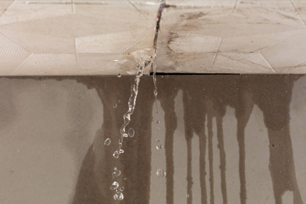 Professional Structural Drying technician working in Mount Pleasant, MI